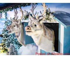 Animatronics Christmas Animals Characters Suppliers in Thailand