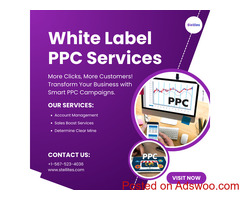 Pay-Per-Click Mastery: Strategies for Effective Online Advertising