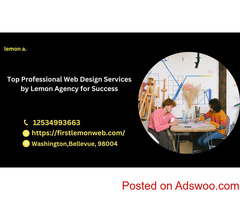 Professional Web Design Services Tailored for You