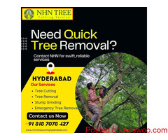 Safe and Affordable Tree Removal Services in Hyderabad – Call NHN Today!