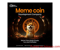 What Drives the Value of a Meme Coin: Speculation or Community Trust?