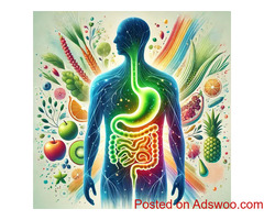 Gut Health Testing for Energy & Digestion | SHCollective