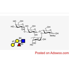 Discover the Benefits of Human Milk Oligosaccharides (HMOs) | GlycoDepot