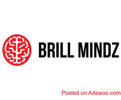 Brillmindz Technologies Dubai