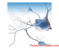 AlphaBioRegen - 3D Supporting Products: Innovative Solutions for Tissue Engineering
