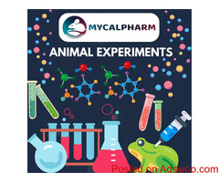 Animal Experiments