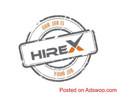 resume writing services