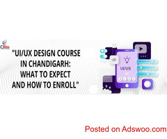 Ui Ux Design Course in Chandigarh| CBitss
