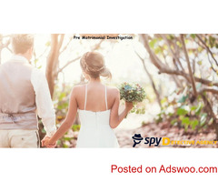 Matrimonial Detectives in Delhi | Private Investigation Agency in Delhi