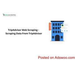 TripAdvisor Web Scraping