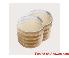Midwest Fresh Mushrooms: LME Agar for Optimal Mycelium Growth