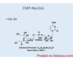 Glycodepot: Your Partner in Custom Glycan Synthesis for Innovative Research
