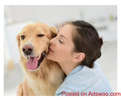 Domestic Pet Transport Service | Reliable Care by DoggoneTaxi