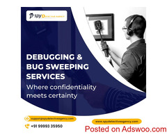 Debugging services in Jaipur