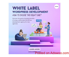 White Label WordPress Development Services for Agencies