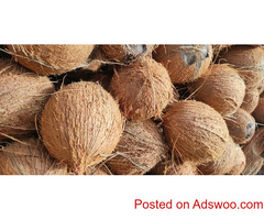 Coconut Exporters in Coimbatore
