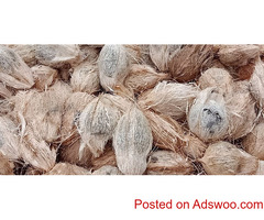 Coconut Exporters in Coimbatore