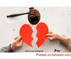 Divorce Case Investigation