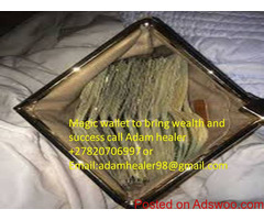 solve your financial problems with magic wallets spells +27820706997