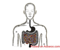 SuperPow Probiotics - Premium Gut Health Supplements for Optimal Digestive Wellness