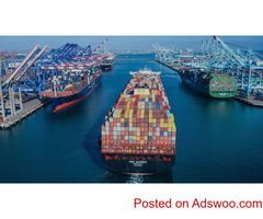 Souray Ltd - Streamlined Ocean Freight Management Services for Efficient Shipping