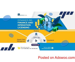 Optimize Investment with Dynamics 365 F&O Licensing 