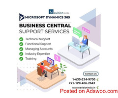 Maximize Efficiency with Microsoft Business Central Support