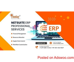 Revolutionize Delivery with NetSuite Professional Services