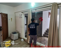 Full Home Deep Cleaning Services true cleaner