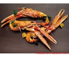 Premium Smoked Salmon For - Gourmet Quality