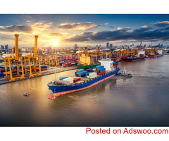 Souray Ltd - Efficient and Reliable Customs Clearance Services for Seamless Trade