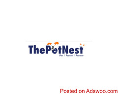 Find the Best Dog Grooming Near Me for a Happy and Healthy Pet