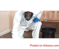 Mitigation Company Near Me | Expert Restoration Services by Puro Clean