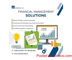 Optimize Financial Management with NAV Accounting Software 