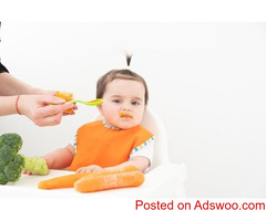 Best Healthy Baby Foods – Organic, Homemade-Quality Nutrition