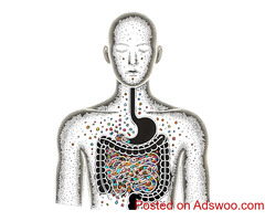 Superpow - Optimal Gut Health with the Best Probiotic Drinks and Supplements