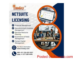 Maximize Business Value with NetSuite License Options 
