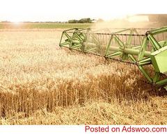 Supercharge Your Productivity with AI-Powered Grain Processing Machine