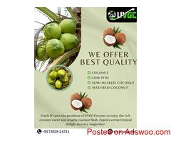UVGC: Top Tender Coconut Exporters in Coimbatore, TamilNadu
