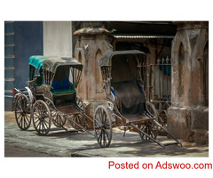 Discover West Bengal: A Land of Culture and Heritage | India Heritage Travel