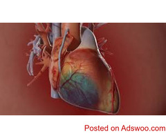 Total arterial beating heart Surgery in Jaipur