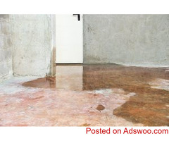 PuroClean - Top-Rated Water Damage Restoration Services Near You