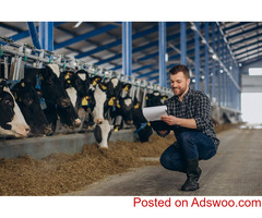 Streamline Your Farm with Dairy Management Software | Cattle Care