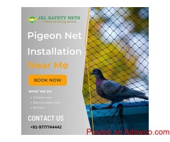 Pigeon Net Installation Near Me