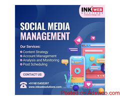 Investing in a SEO Company Chandigarh for Your Business Growth