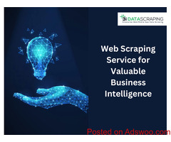 Web Scraping Service for Valuable Business Intelligence