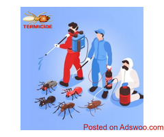 Reliable and Eco-Friendly Termite Management in Gold Coast | Termicide