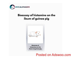 Bioassay of histamine on the ileum of guinea pig