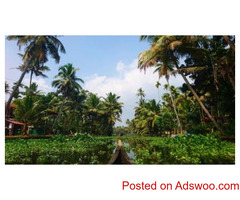 Alleppey Houseboats - Serene Backwaters of Kerala