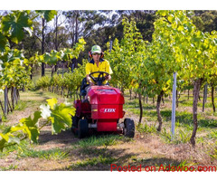 Grounds Maintenance in Canberra for Commercial Properties